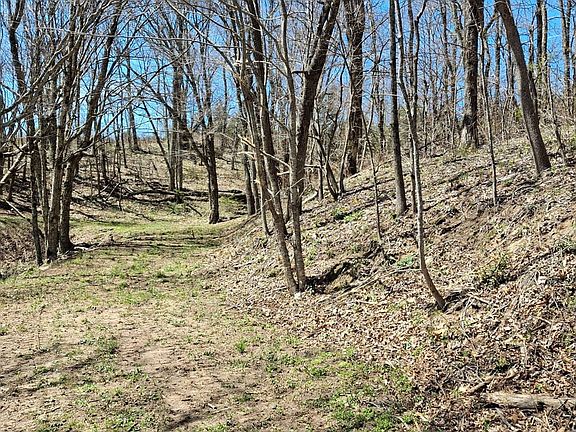 2nd image of Big Ridge Rd