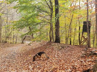 10788 Georges Mill Rd, Lovettsville, VA 20180