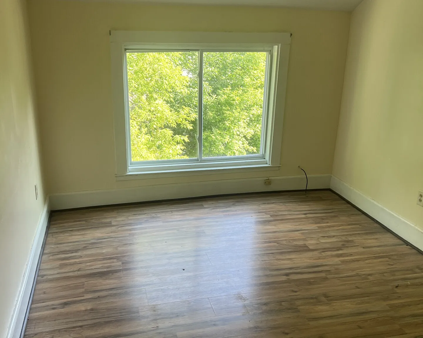 427 Essex St - Unit... — Photo 1