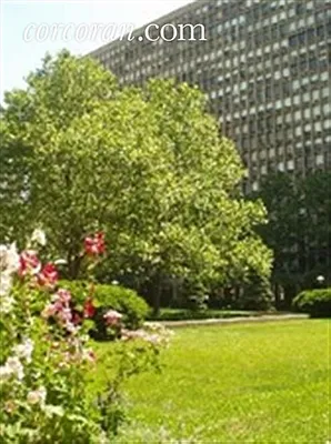 Rented by Corcoran | media 19