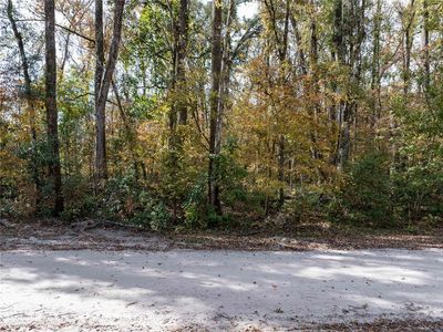 Lots 165 & 166 Sw Nebraska Ter Lot 165166, Fort White, FL, 32038