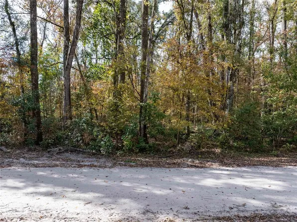 Lots 165 & 166 Sw Nebraska Ter Lot 165166, Fort White, FL 32038