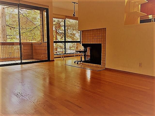 Large Living Room with views of redwood trees in the court yard