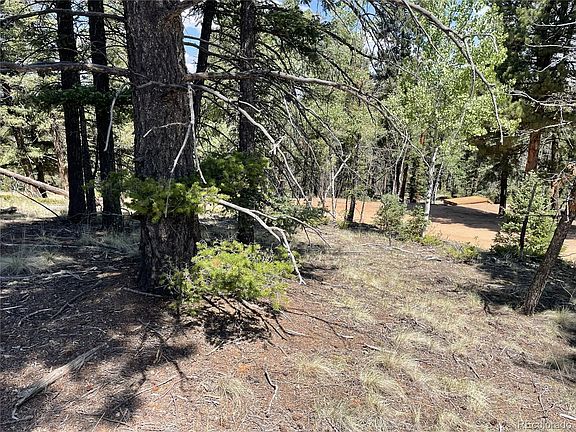 5th image of 971 Spring Valley Lane LOT 1115