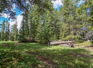 29 Rocky Mountain Way, Breckenridge, CO 80424