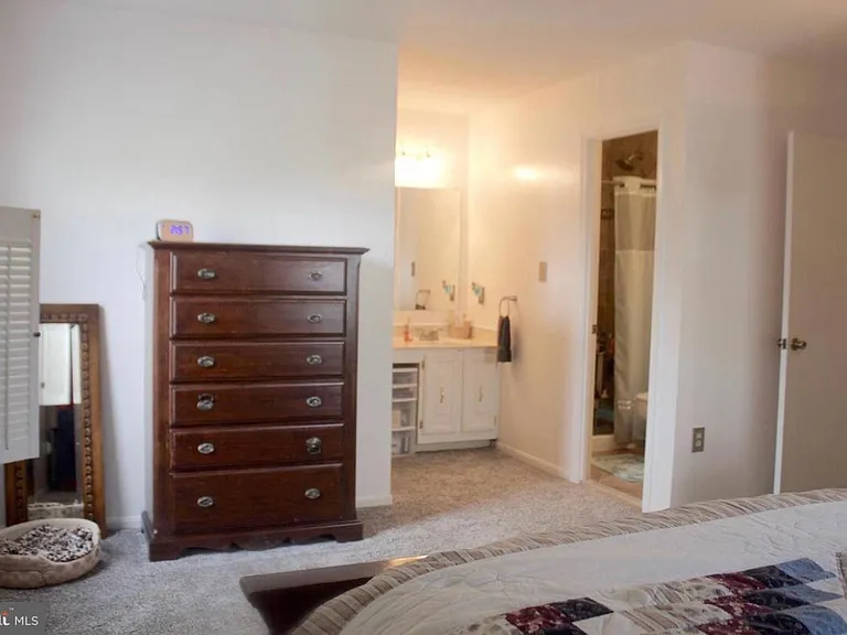 master bedroom with separate sink and walk-in closet