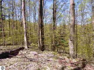 PARCEL Broken Arrow Dr #B, Bellaire, MI 49615