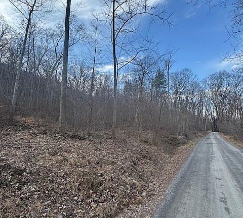 2nd image of 1403 Paxton Dr