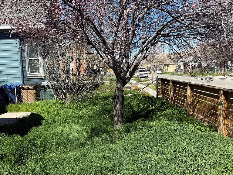 337 N Marion St — Photo 25