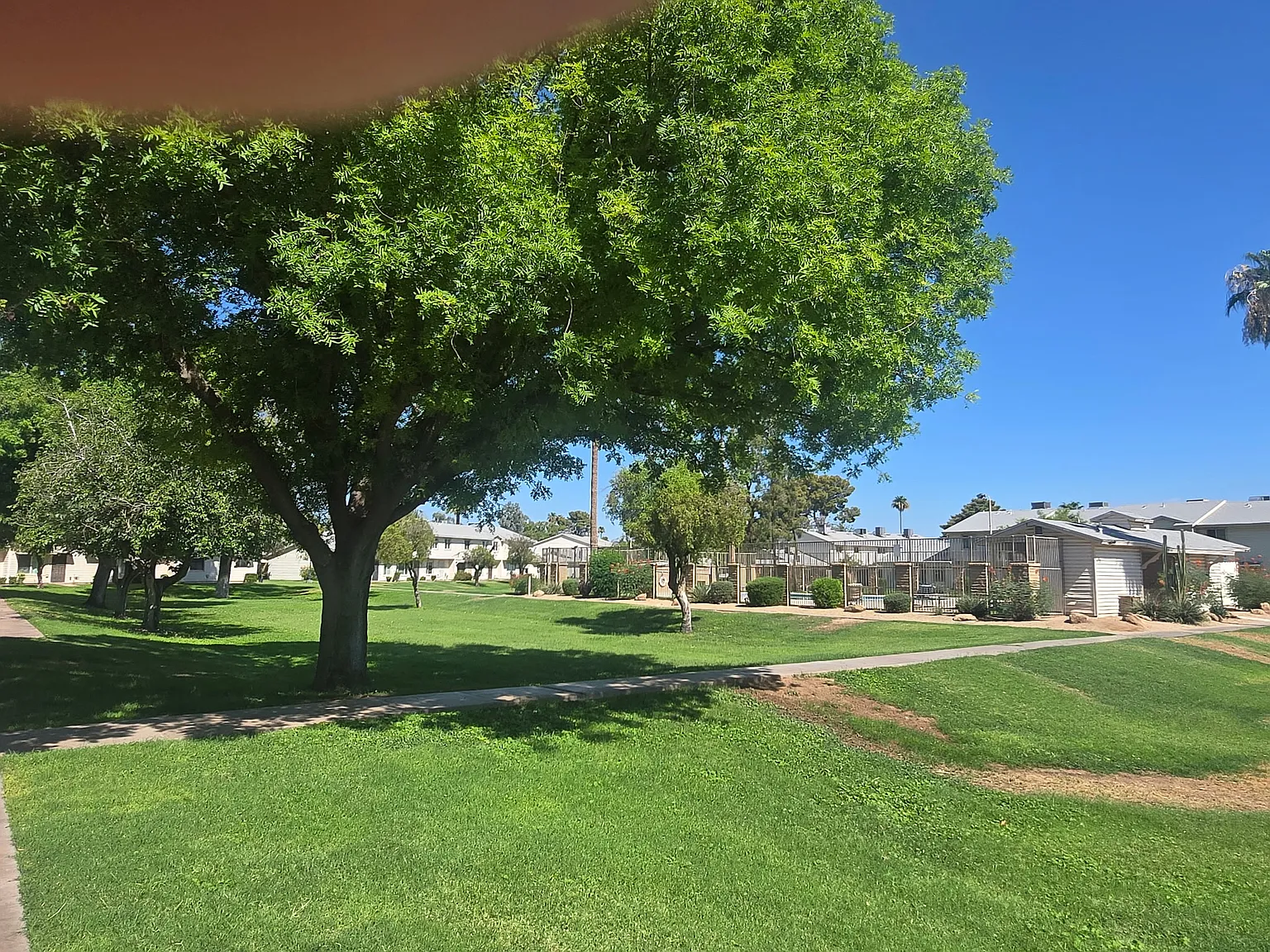 2 bed, 792 sqft, $650 — Photo 4