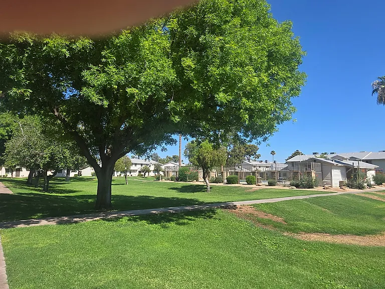1231 E Minton Dr — Photo 3