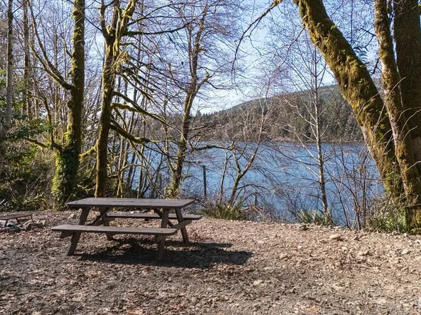 1185 E Lake Pleasant Road, Beaver, WA 98305