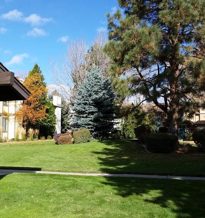 Never lift a finger to enjoy this beautiful shared green spa