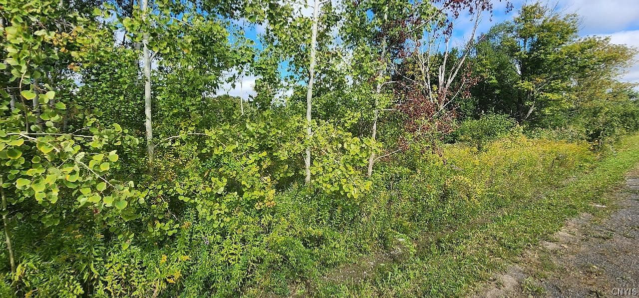 6567 Mallory Rd, Marcy, NY 13403 MLS S1435014 Zillow