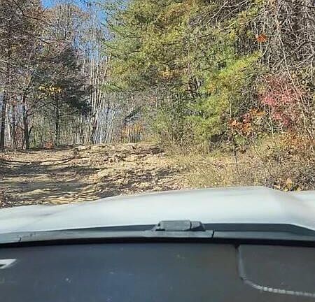 3rd image of 1022 Lime Plant Hollow Rd