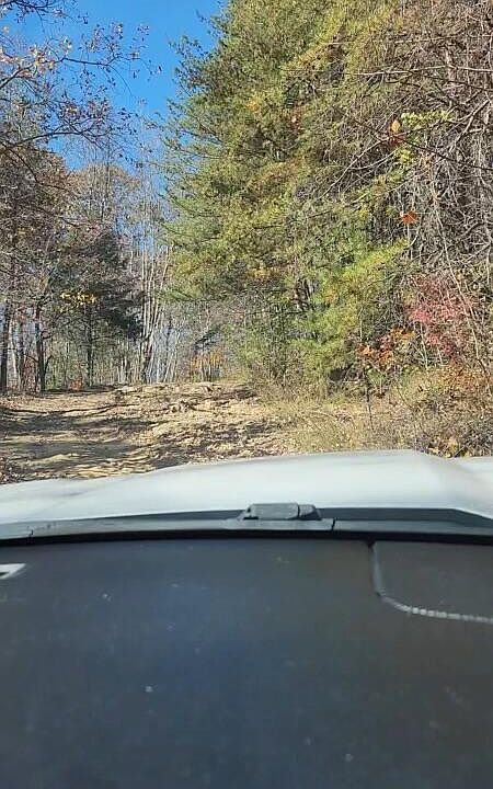 2nd image of 1022 Lime Plant Hollow Rd