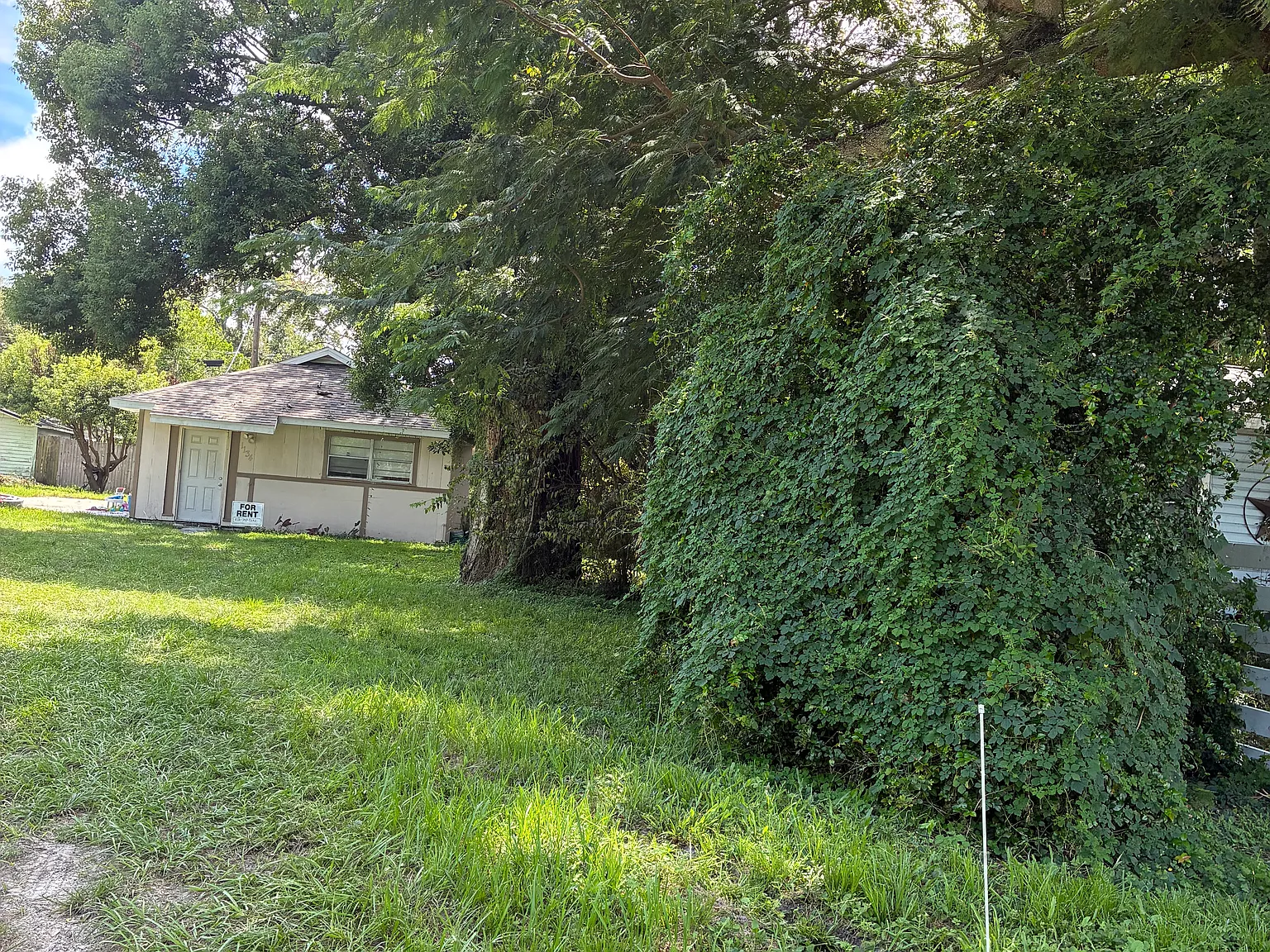 3 bed, $1,400 — Photo 2