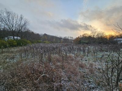 0 Duncan Hl, Danville, KY, 40422