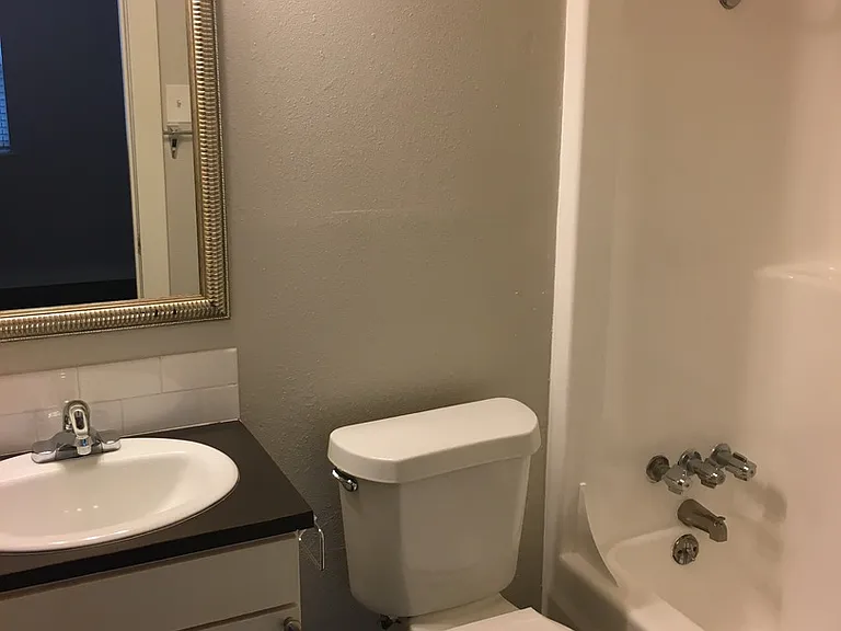 Zilker Capri Apts. — Photo 7