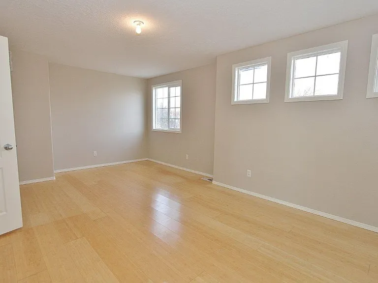 17696 Dark Zebra Way — Photo 18