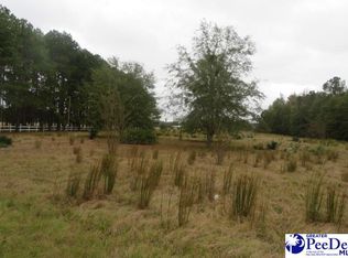 1613 Lide Springs Rd, Darlington, SC 29540