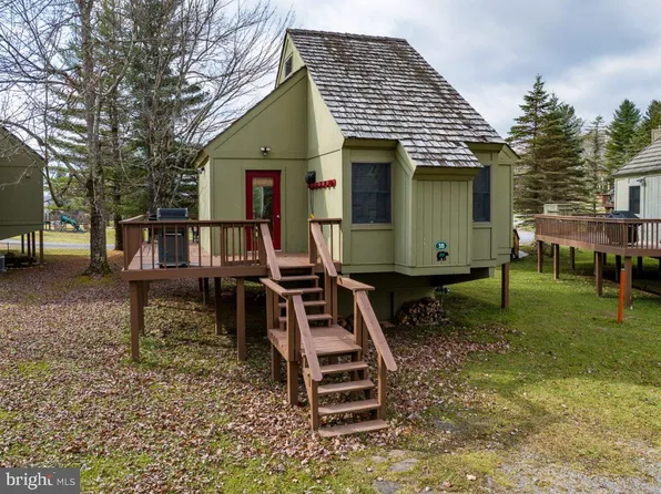 18 Red Squirrel Run, Davis, WV 26260