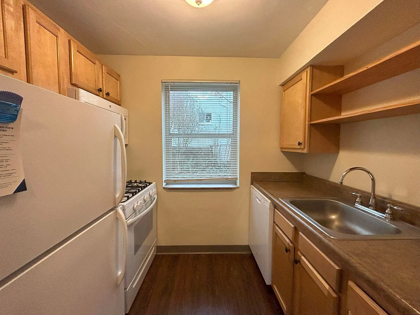 Lloyd — Photo 2