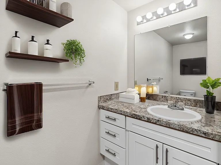 Step into a bathroom retreat featuring a modern vanity and serene ambiance.