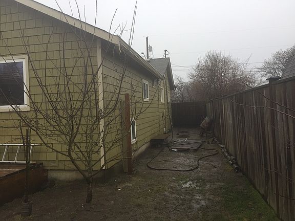 Side Yard - Apple trees