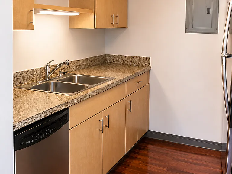 425 W Beech St #1304 — Photo 10