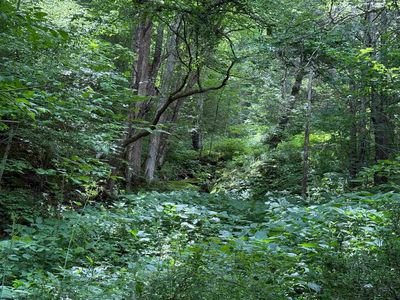 Rocky Rd, Harman, WV, 26270