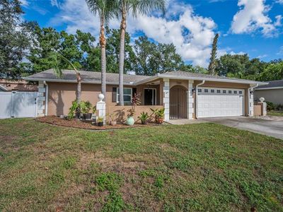 2661 Knoll St E, Palm Harbor, FL, 34683