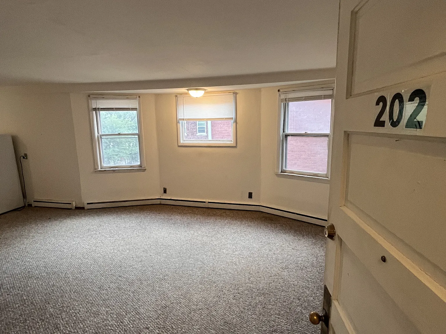 125 East Gorham Street - Unit 202 — Photo 2