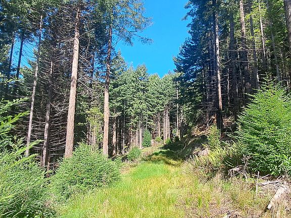 3rd image of 403.131042 Redmond Rd