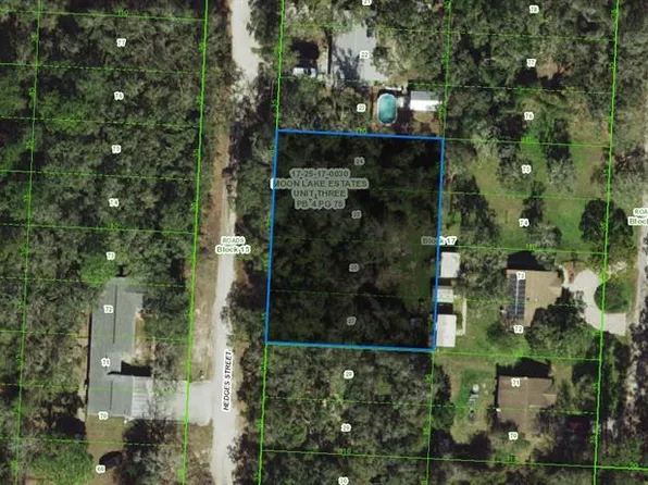 17-25-17-0030-01 Hedges St Lot 24, New Pt Richey, FL 34654