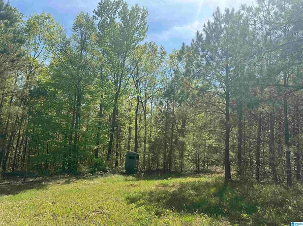 0 County Road 92 #1, Woodland, AL 36280