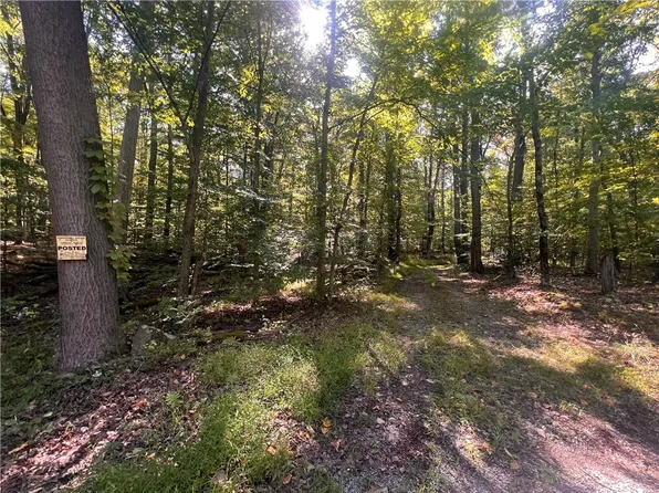 0 Route 381 Ln, Rector, PA 15677