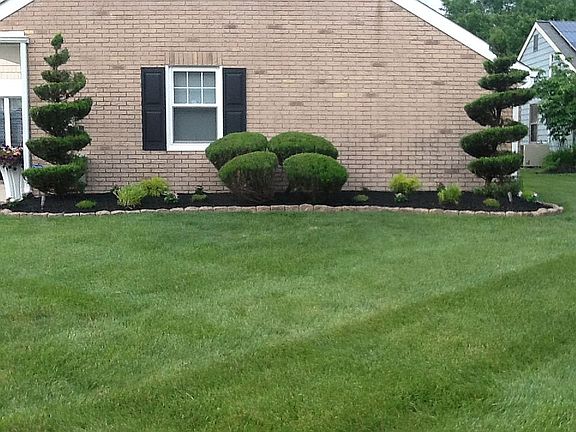 3rd image of 223 Cherrywood Ln