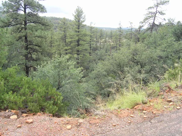9888 W Coyote Dr, Strawberry, AZ 85544