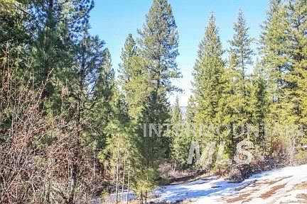 4th image of Tax 255 Timber Mountain Rnch