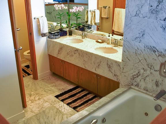 Master Bath - jetted tub & shower stall