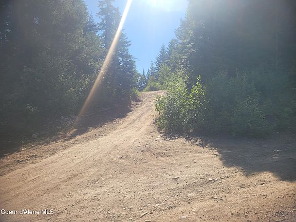 3rd image of 83 Wildflower Rd