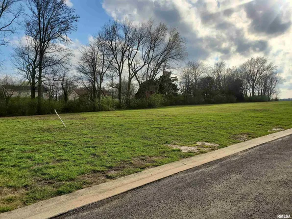 PARCEL 8 S Indian Grass Rd, Nashville, IL 62263