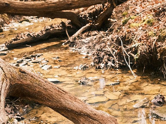 2nd image of 0 Ferguson Rd