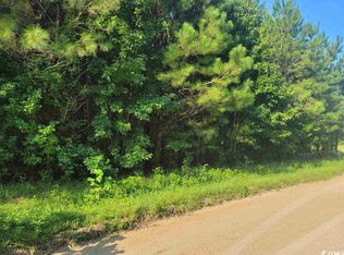 Powell Lane Lot #2 & 1, Loris, SC 29569