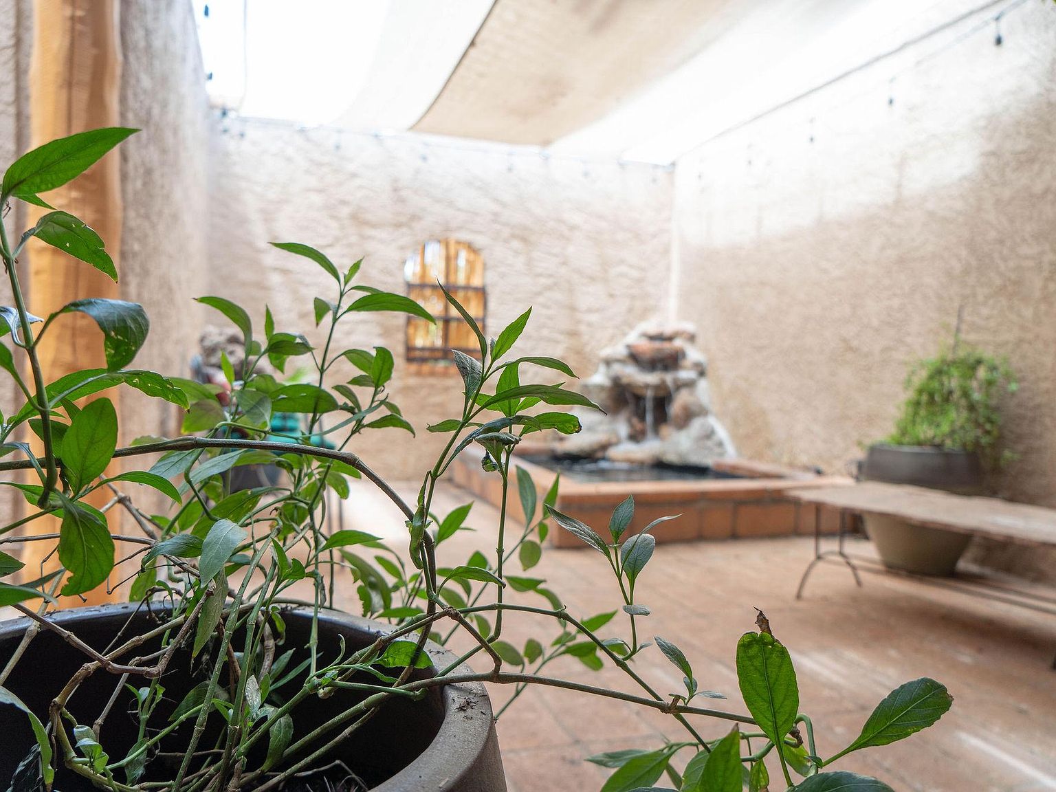 Scottsdale, AZ 85254