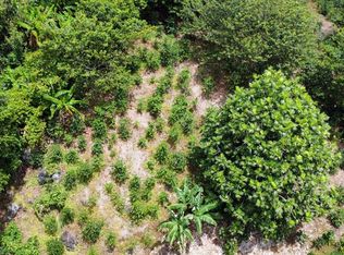 Commons Salicetti Batista #129, Adjuntas, PR 00601