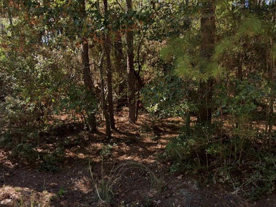 1st image of 110 Pine Point Cir Lot 1 & 2