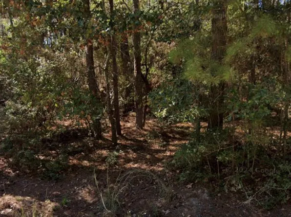 110 Pine Point Cir Lot 1 & 2, Onalaska, TX 77360