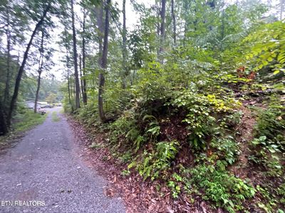 OFC Little Cove Rd, Sevierville, TN, 37862